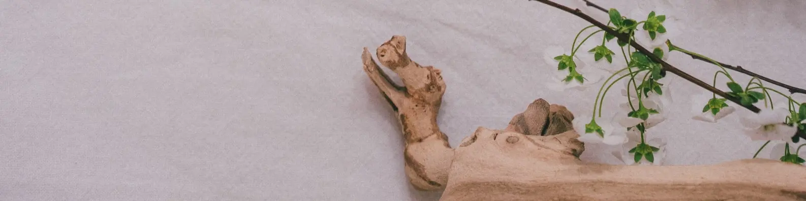 Ancient Timber Texture Cover