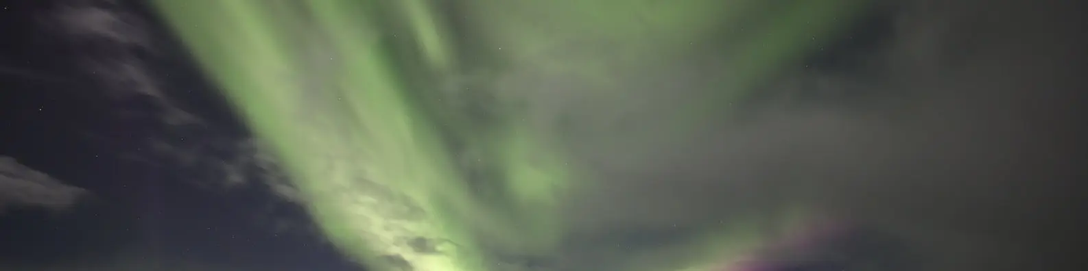 Aurora Studying Photo