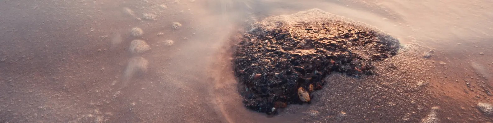 Coastal Shell Gatherings Photo