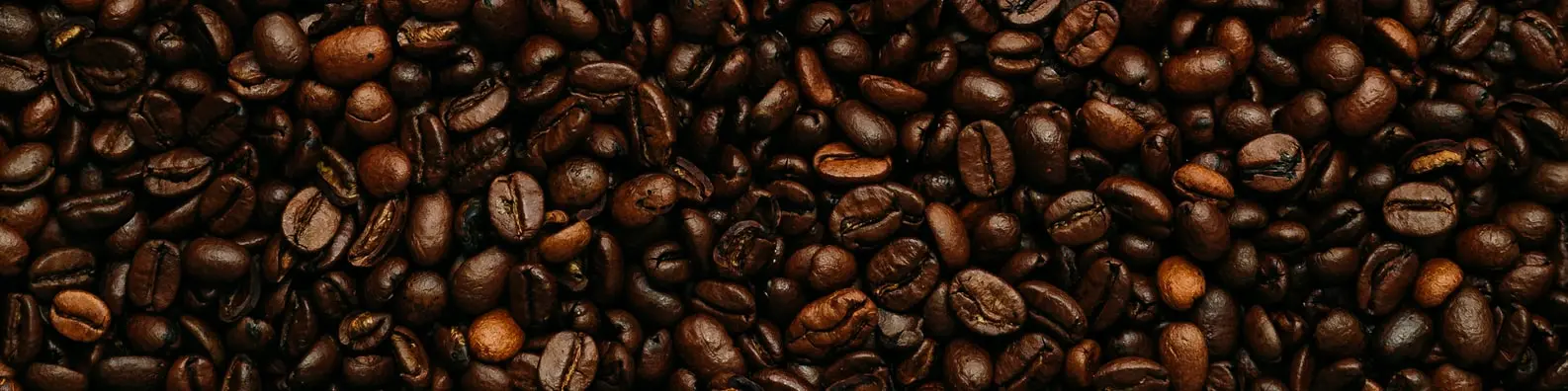 Coffee Beans Closeup