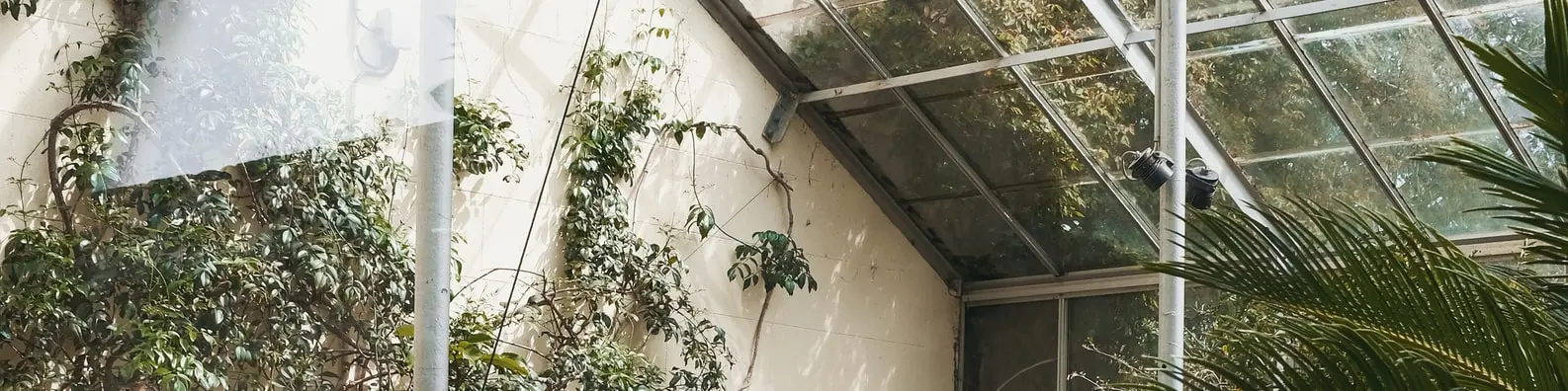 Cozy Indoor Greenery Cover