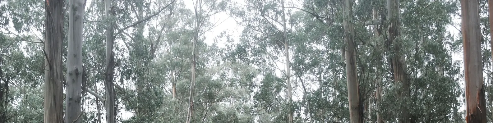 Fresh Air Moment Photo