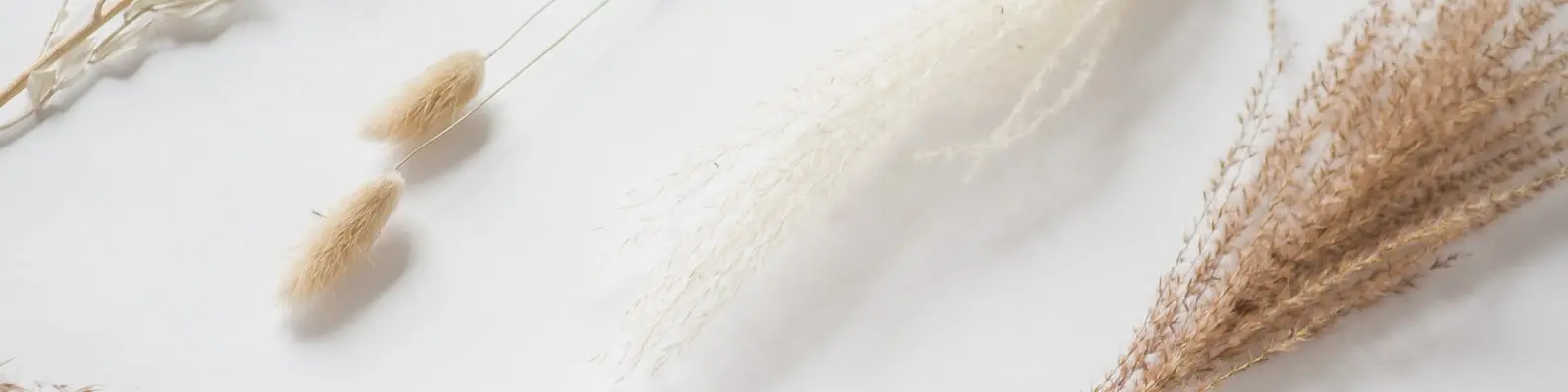 Nutritious Whole Grains