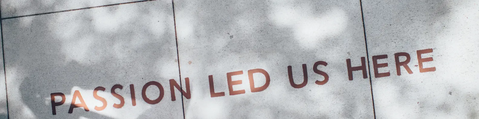 Passion Lied Us Here
