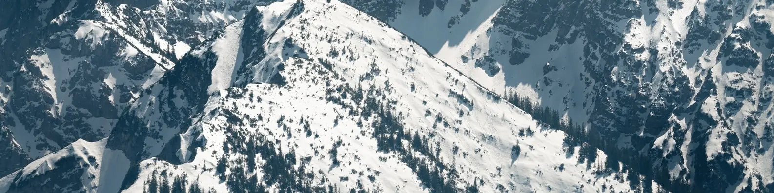 Pinnacle Of Frost Image