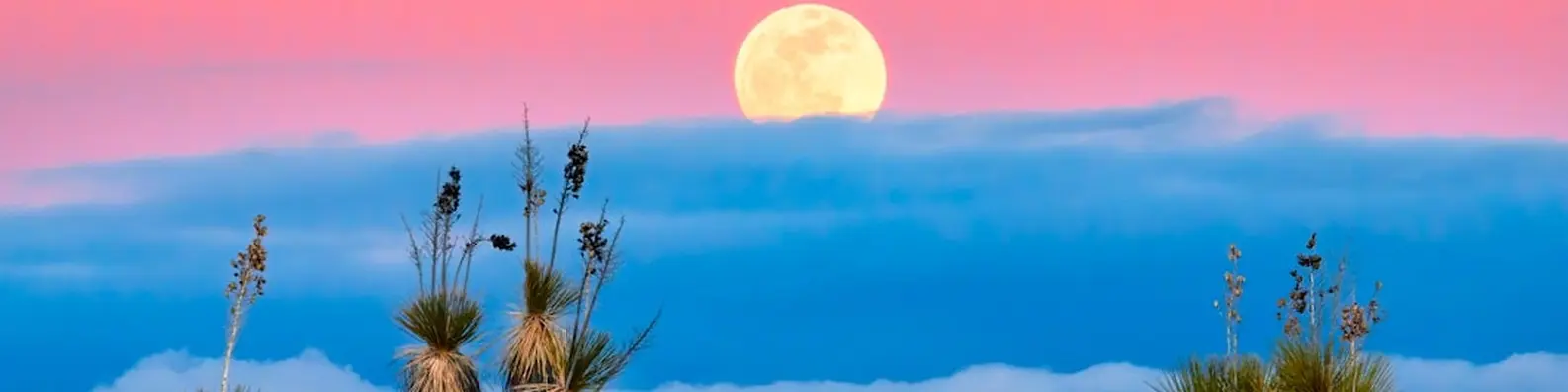 Pristine White Beach Image