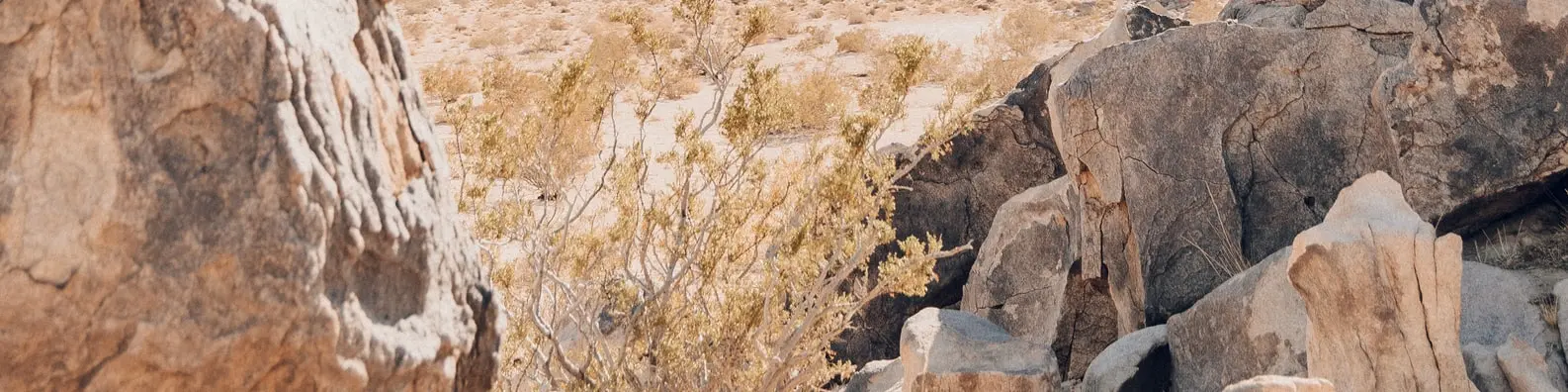 Proceed With Caution Photo