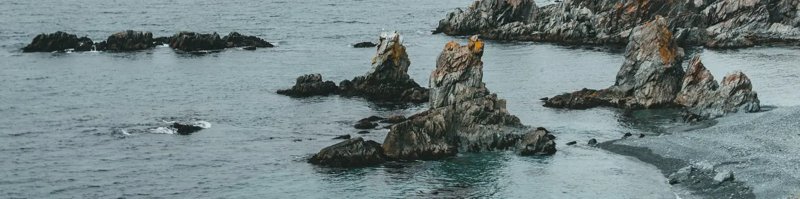 Refreshing Ocean Swim Cover