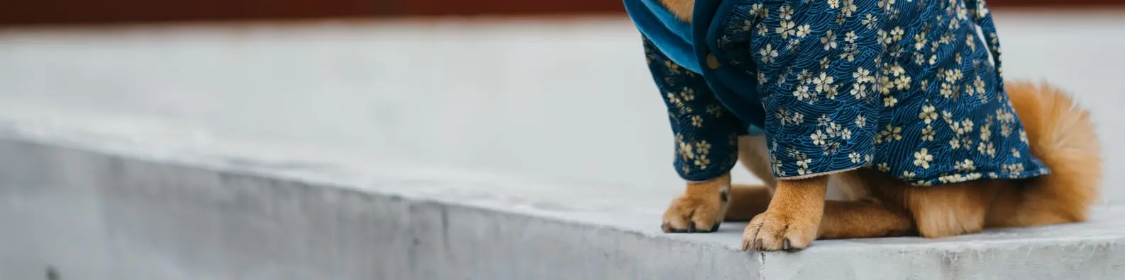 Stylish New Robe Photo