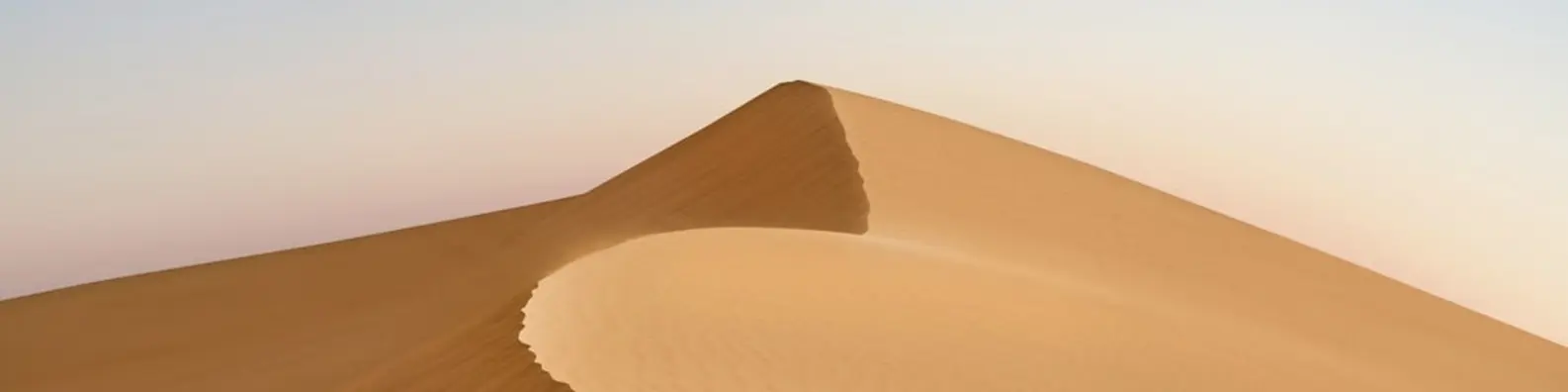 Sun Kissed Dunes Cover