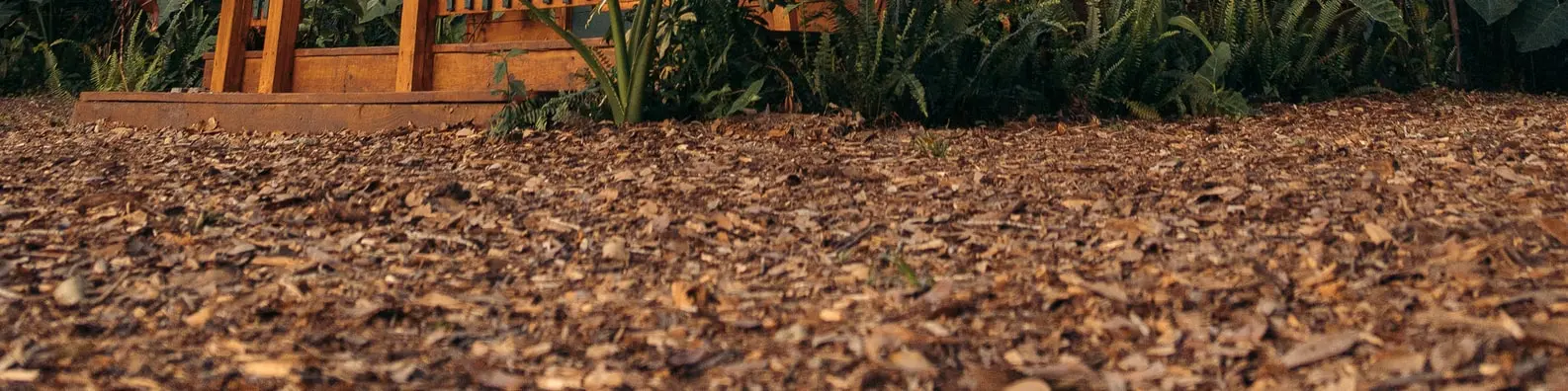 Vintage Holiday Cottage Photo
