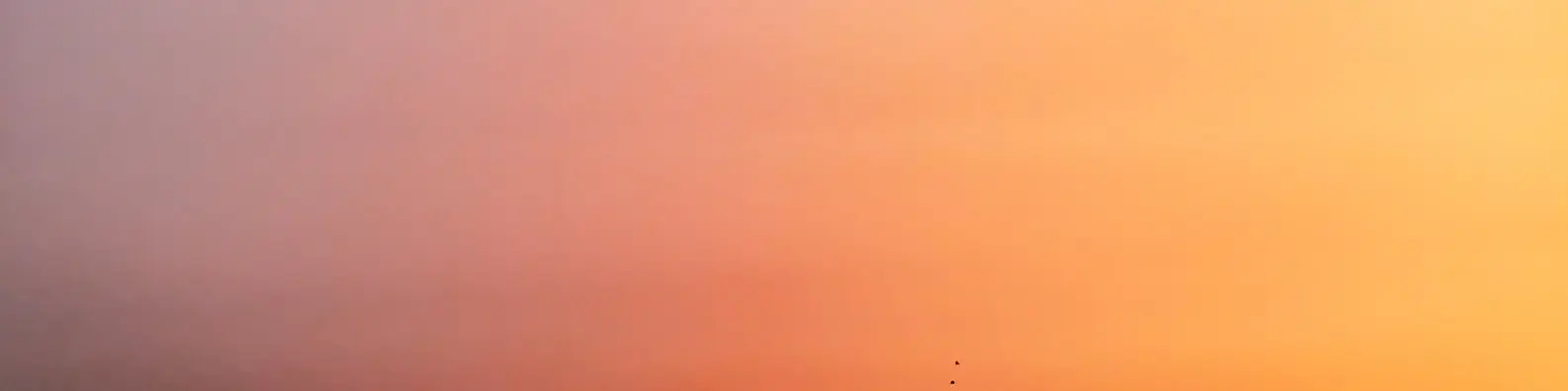Warm Sunset Gradient
