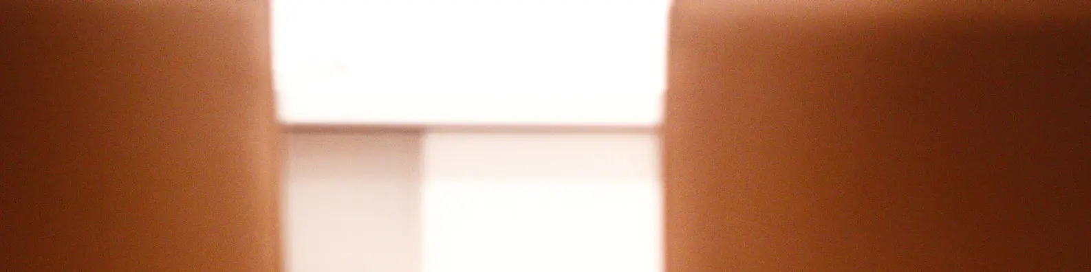 Window Placement Photo