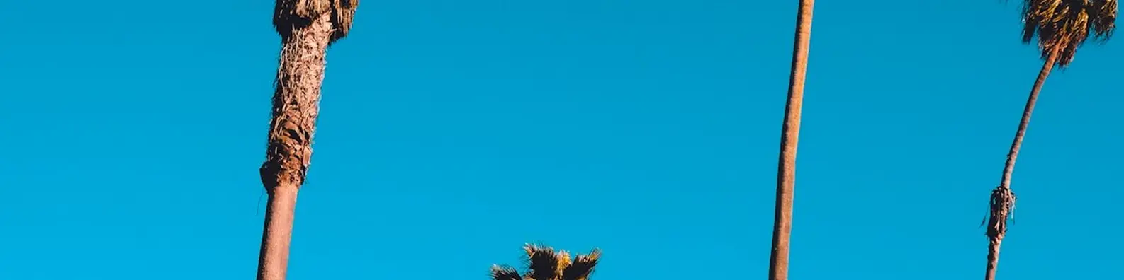 Yellow Van Road Photo