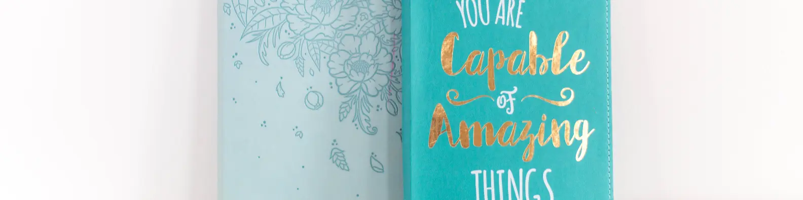 You are Capable of Amazing Things