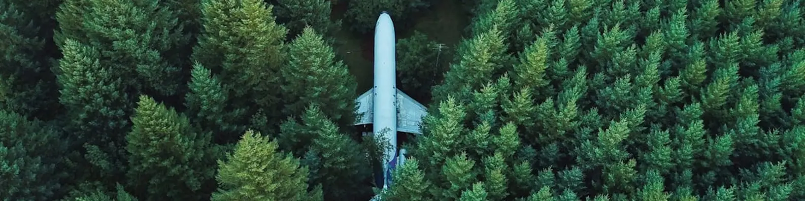 abandoned-airplane-in-forest-clearing