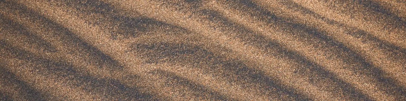 fine sand cover photo