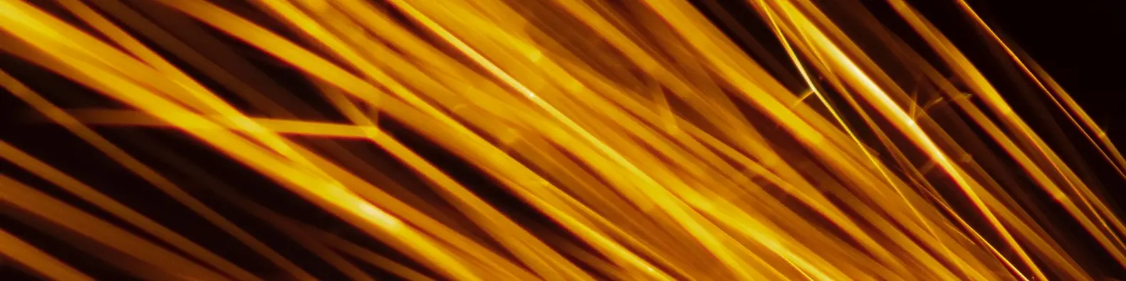 golden strands cover photo