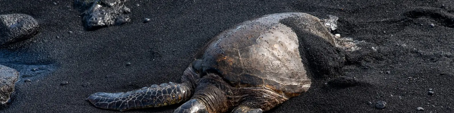 help me bro i am stuck