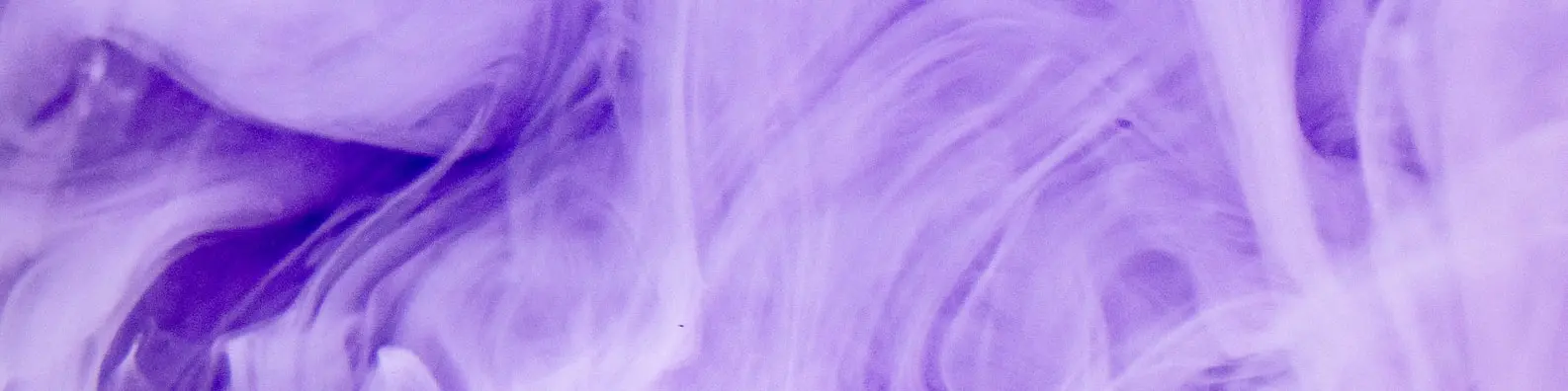 lilac dreams cover photo