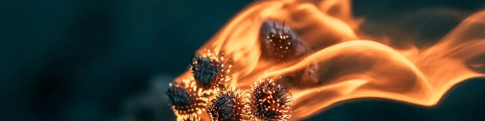 Playing with Fire Isn’t Safe