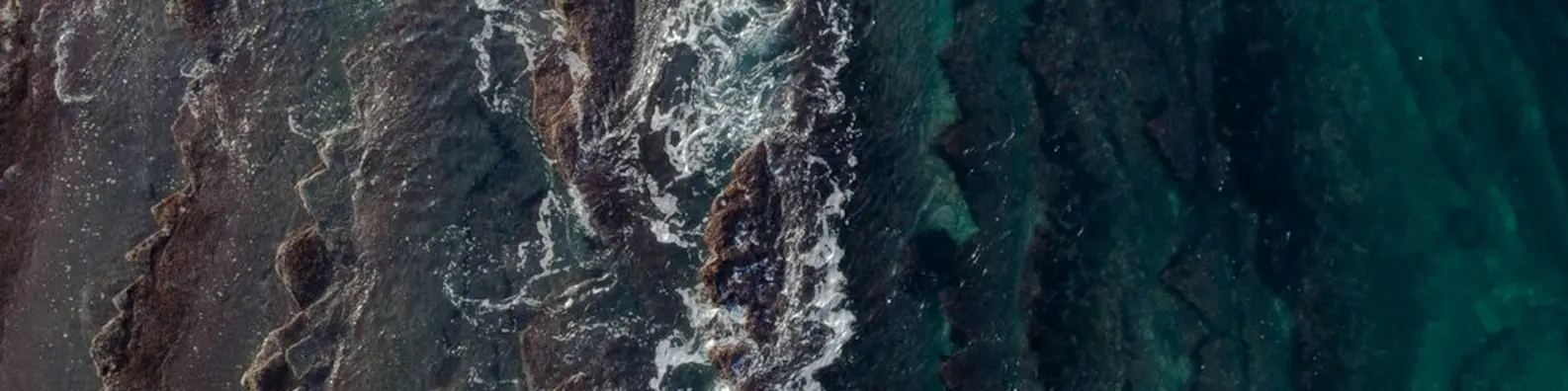 ocean shoreline from above